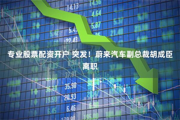 专业股票配资开户 突发！蔚来汽车副总裁胡成臣离职